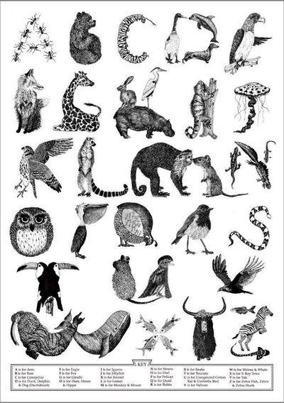 Animal Alphabet Print– Lucy Coggle